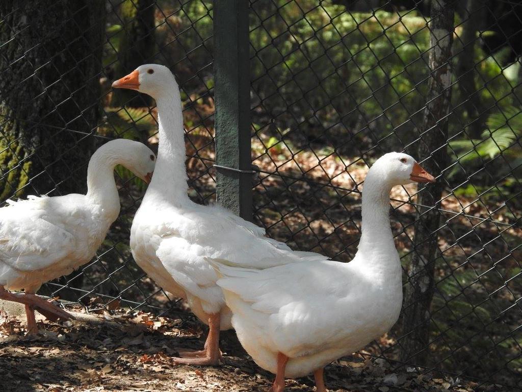 Encosta Dos Túneis - Turismo E Lazer Sever do Vouga Exterior foto