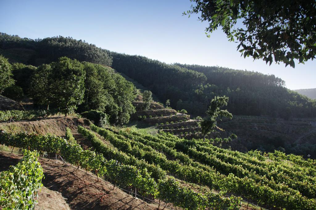Encosta Dos Túneis - Turismo E Lazer Sever do Vouga Exterior foto